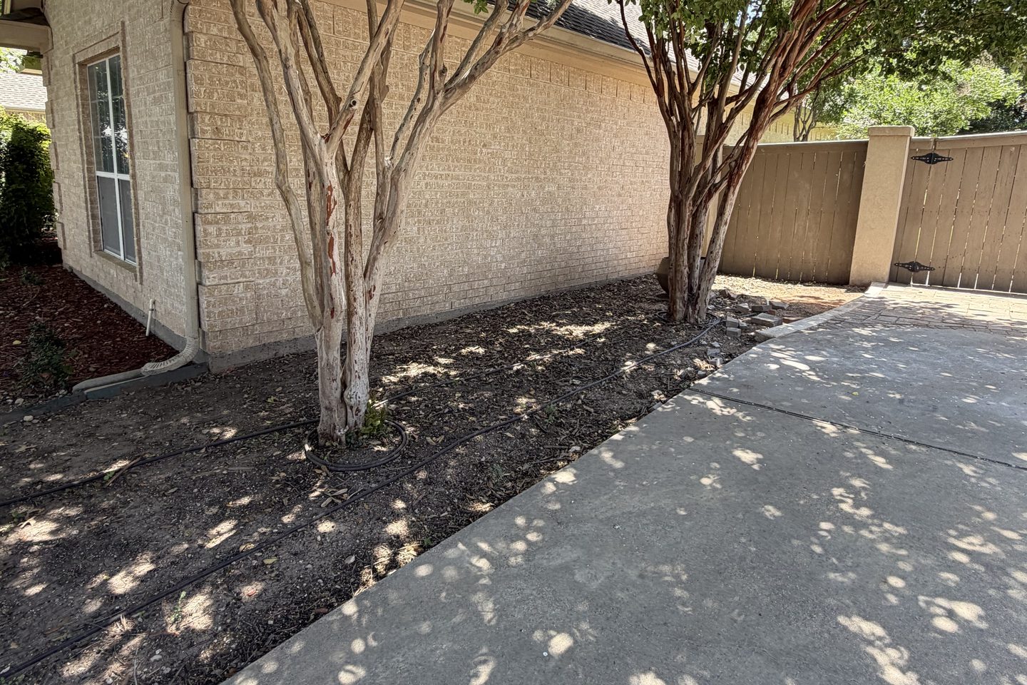 Before: bare dirt bed under crape myrtles beside a driveway