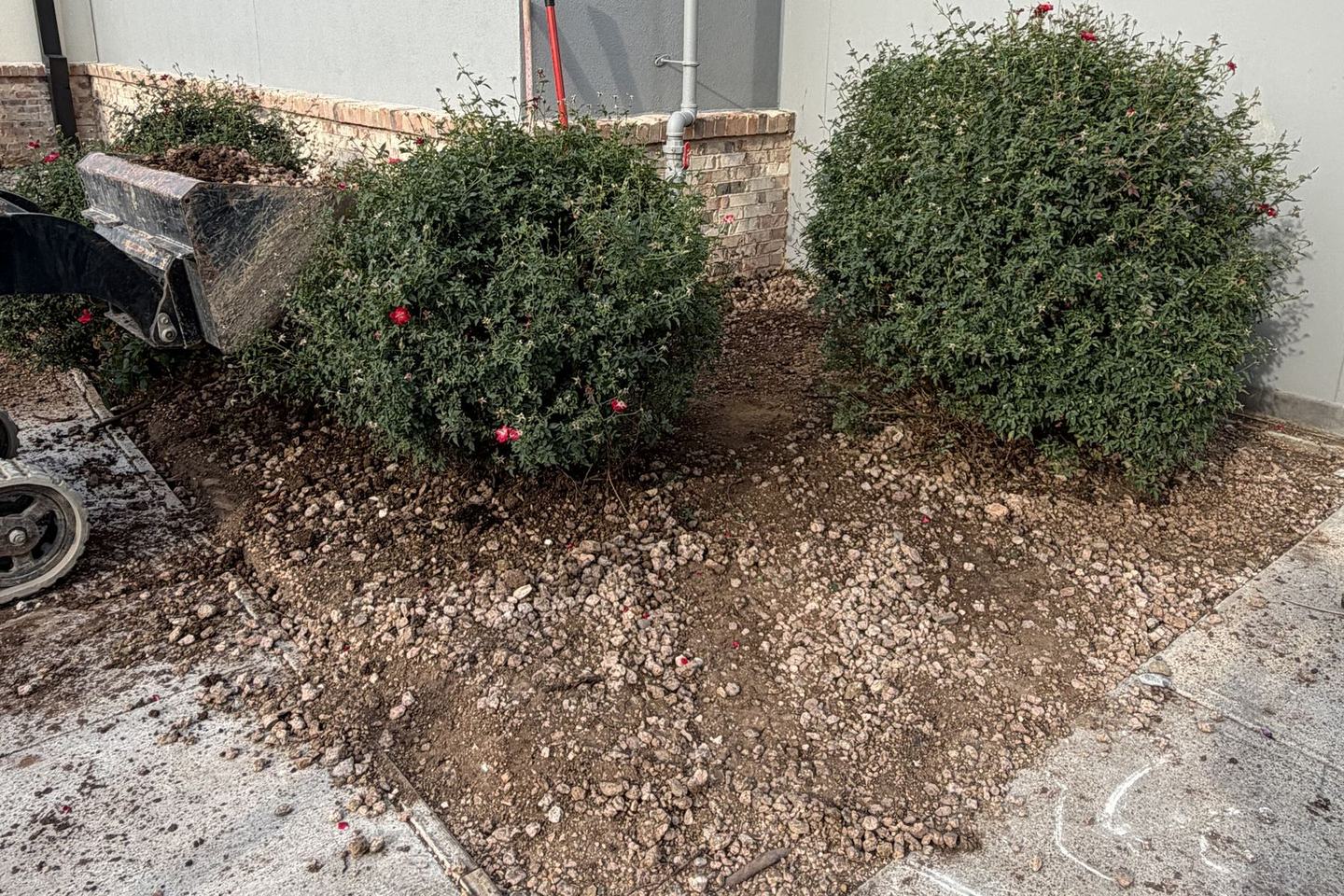 Before: bare dirt beds around shrubs outside a restaurant