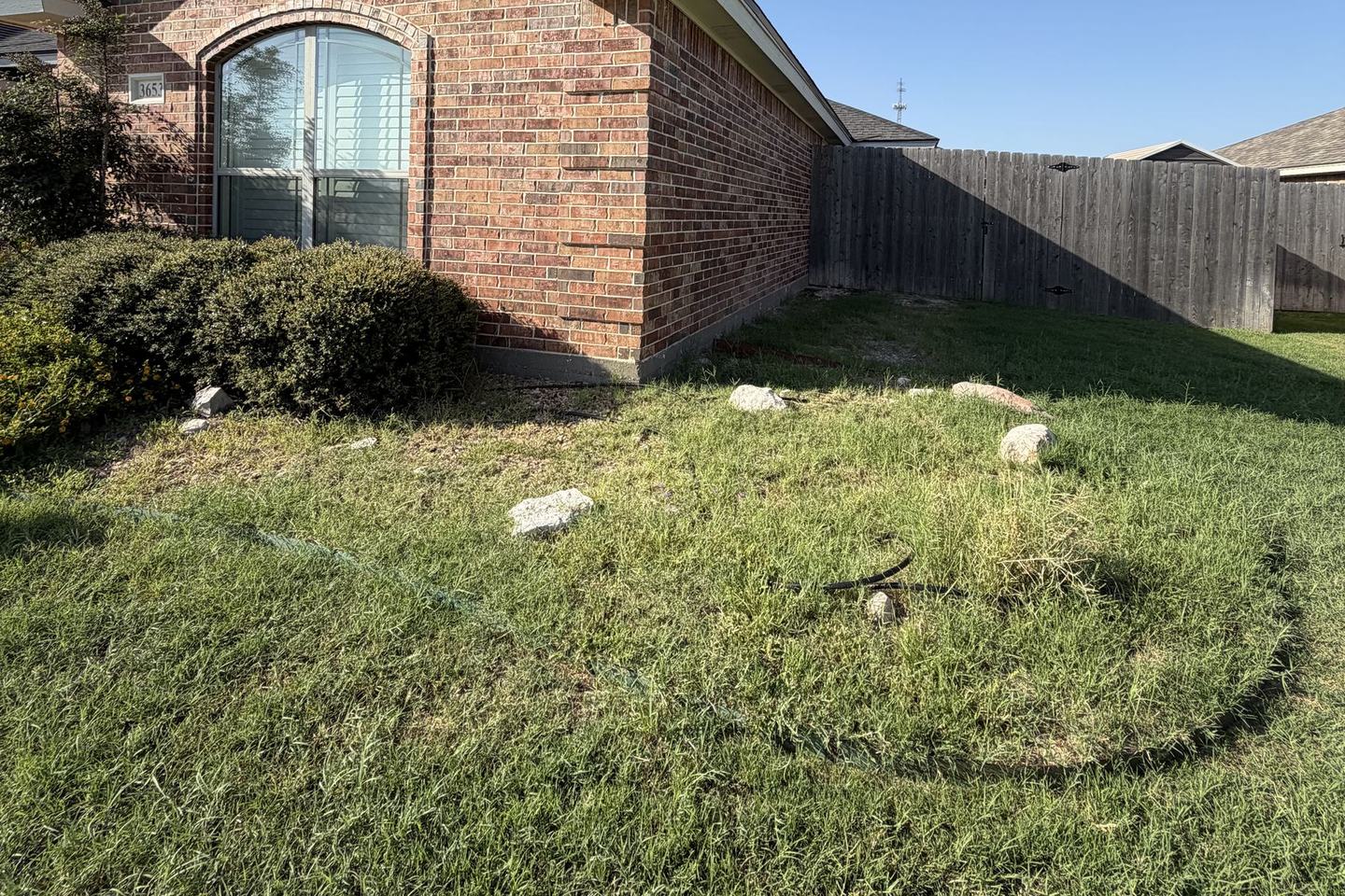 Before: thin, patchy lawn beside a brick home