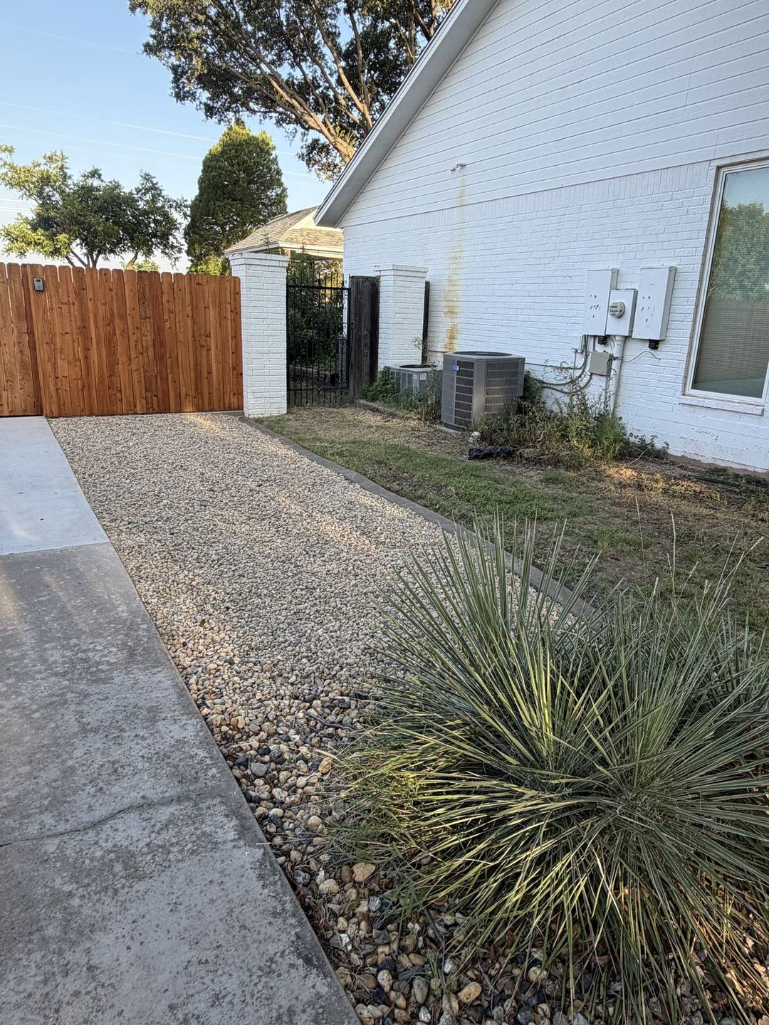 Side yard finished in gravel with a yucca